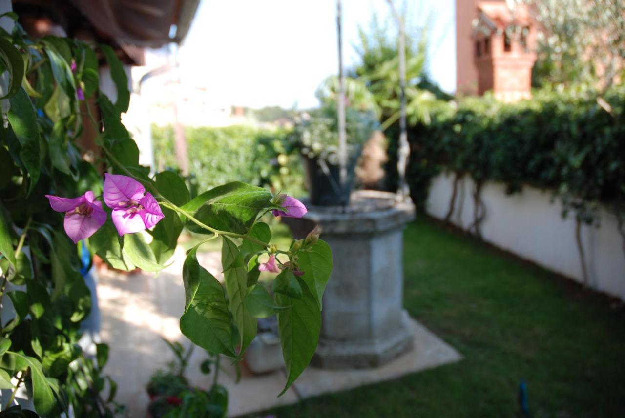 B&B Sea Joy Rovinj Zewnętrze zdjęcie